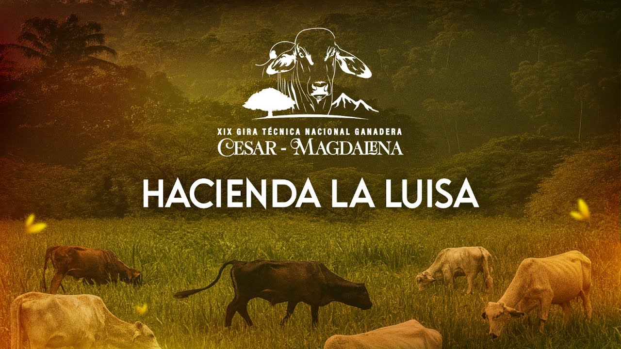 La Luisa (Gira Virtual Ganadera Cesar - Magdalena )