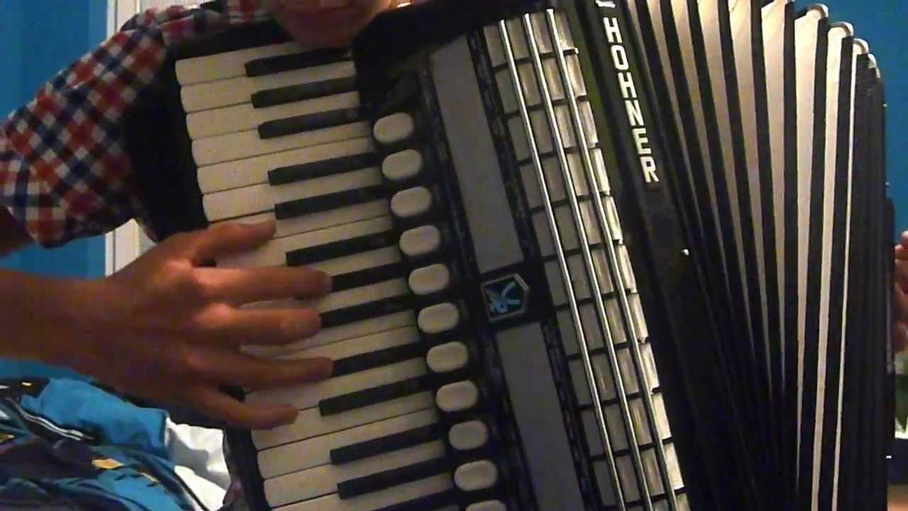 Accordion remix (Ma cherie, She doesn't mind, Welcome to st. tropez)
