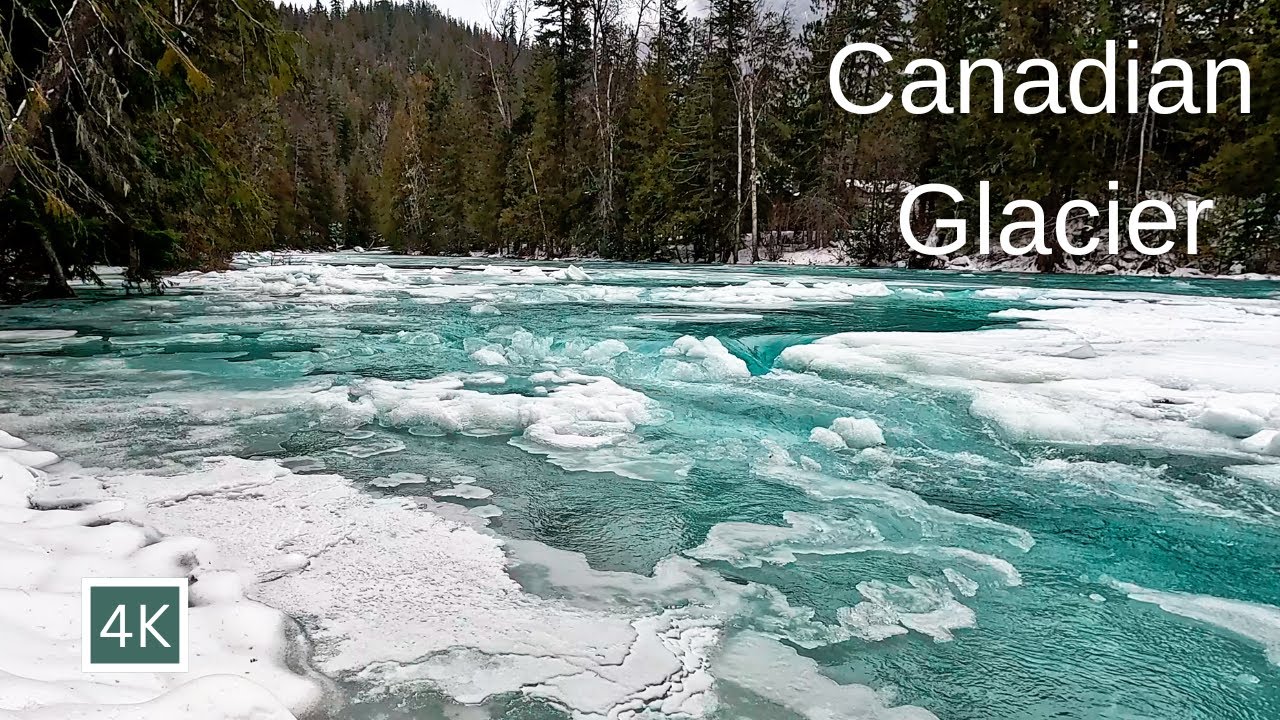 Forested Creek Sounds | 9 Hours | Sleep and Meditation | Canadian Glacier Stream Running Water