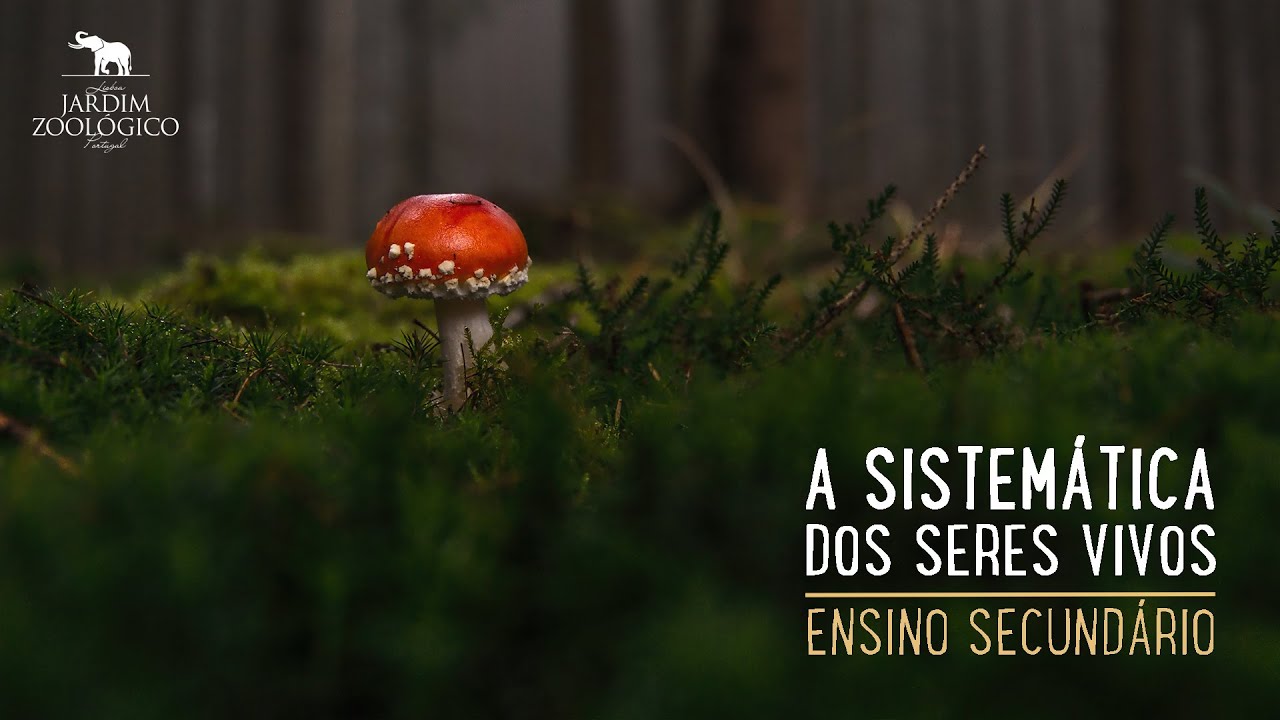 A sistemática dos seres vivos - Secundário | Jardim Zoológico