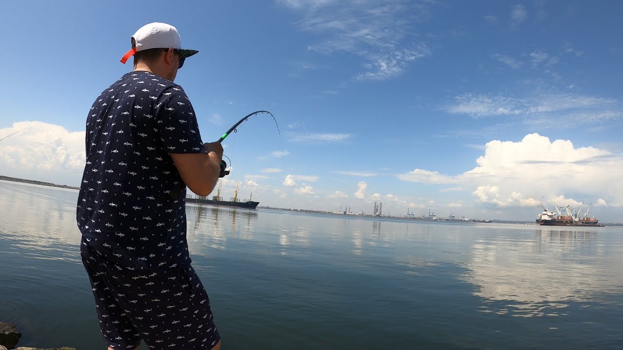 Stavrid după stavrid la Marea  Neagră 🐟
