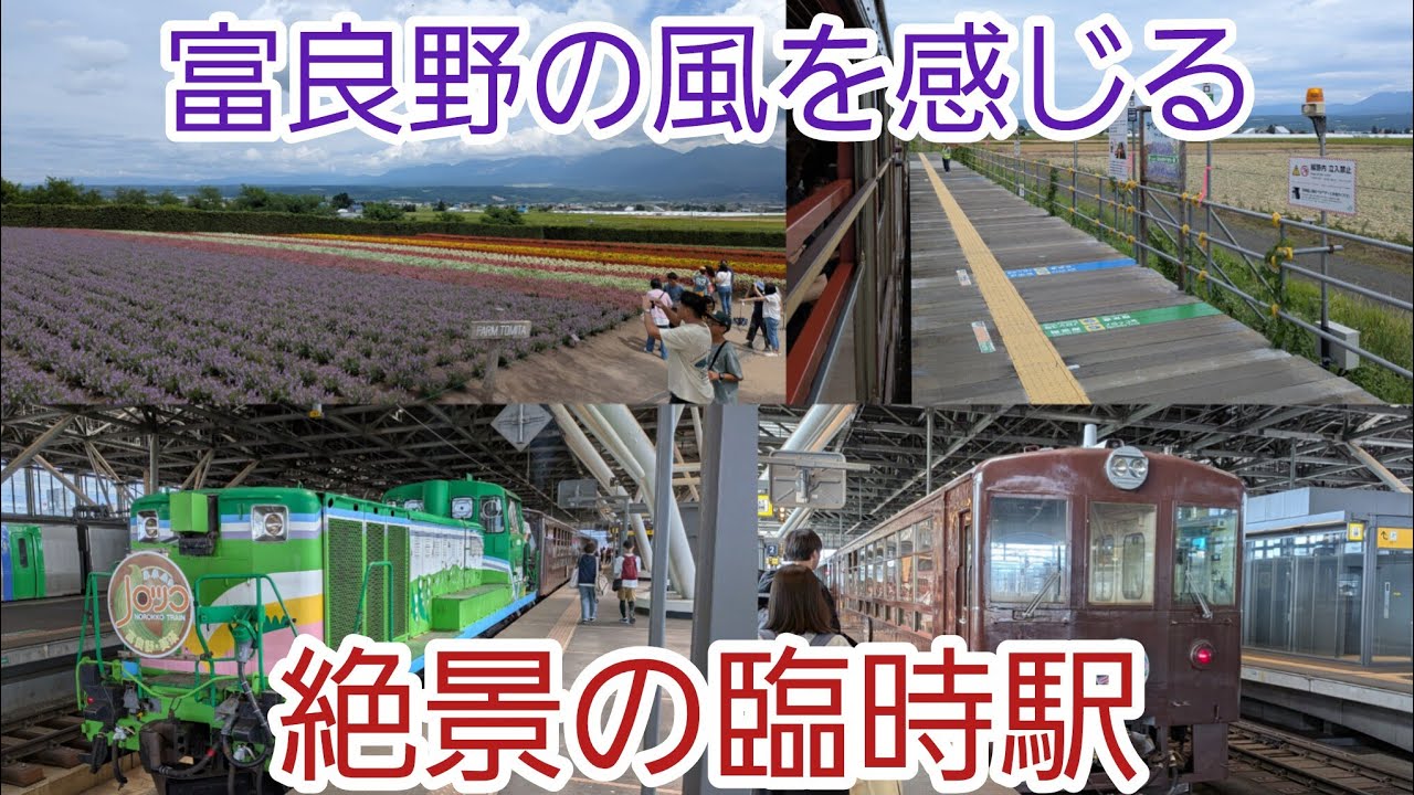 【臨時駅ラベンダー畑駅】ふらのラベンダーノロッコに乗ってきた