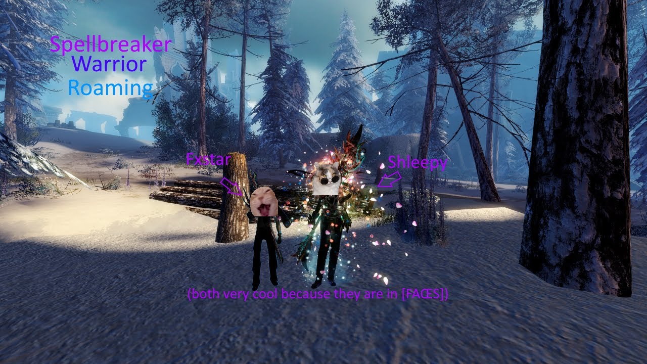 GW2 - Sleepy [FAŒS] Spellbreaker/Warrior - WvW Roaming
