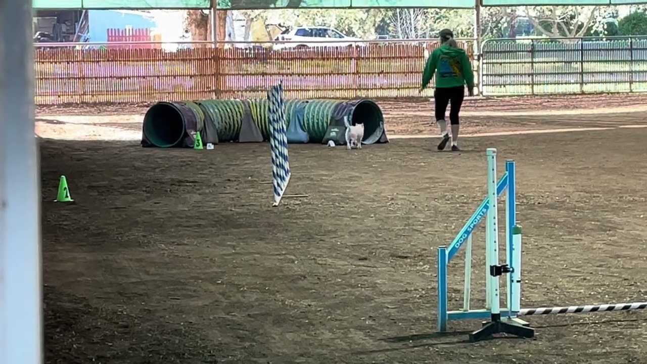 Terry Running Toby on Wildcard - 3/6/26