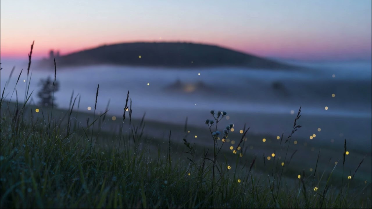 morning mist : Deep Relaxation, Stress Relief, Sleep and Study
