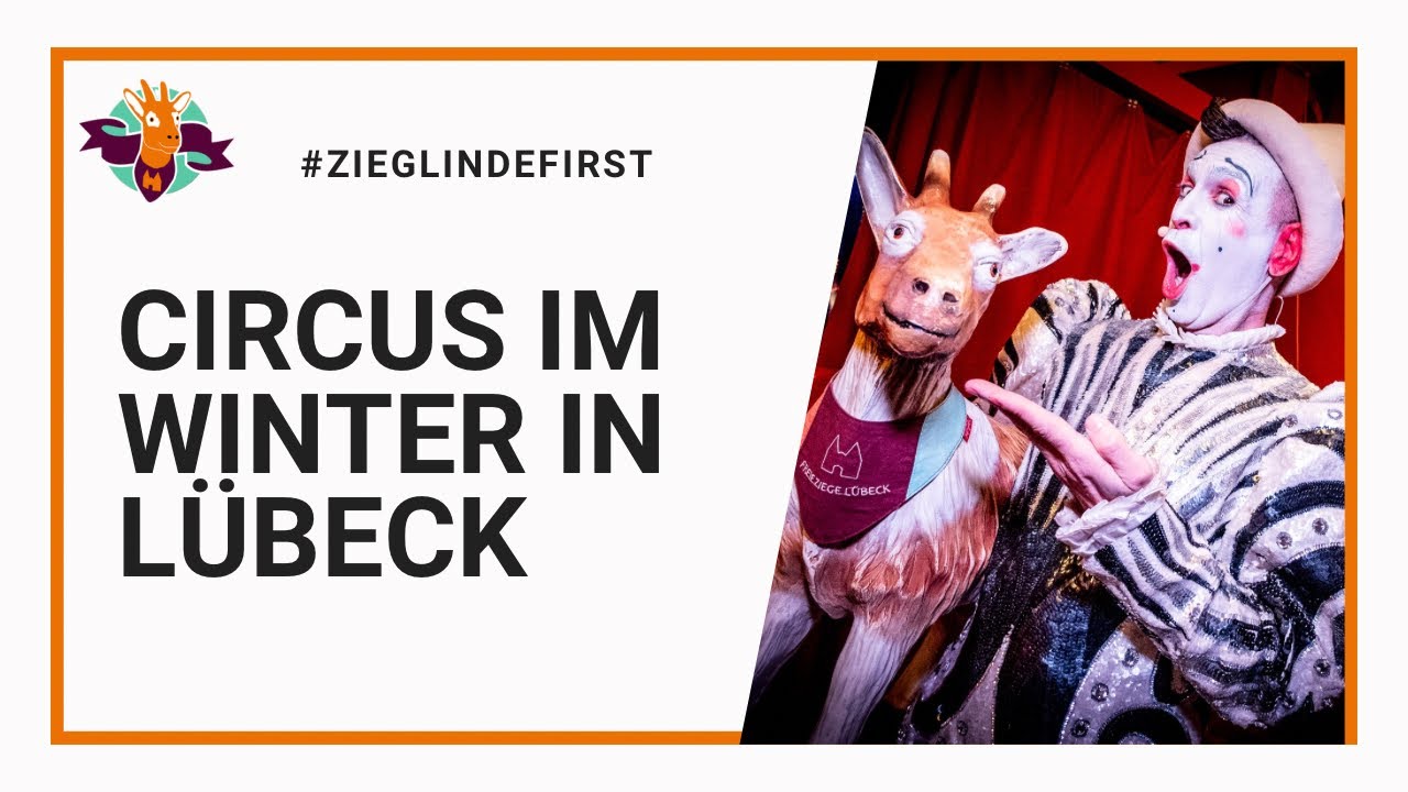 Austrab zum Roncalli Wintercircus in Lübeck 