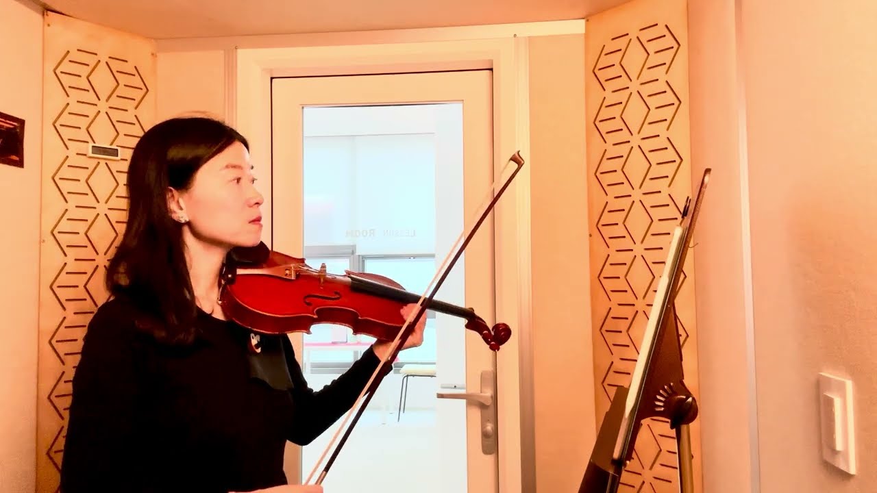 [Flow] Mozart Violin Concerto no.3 in G Major K.216 - 1st movement