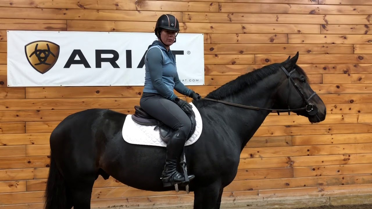 The Madden Method - tightening your girth and adjusting stirrups while mounted