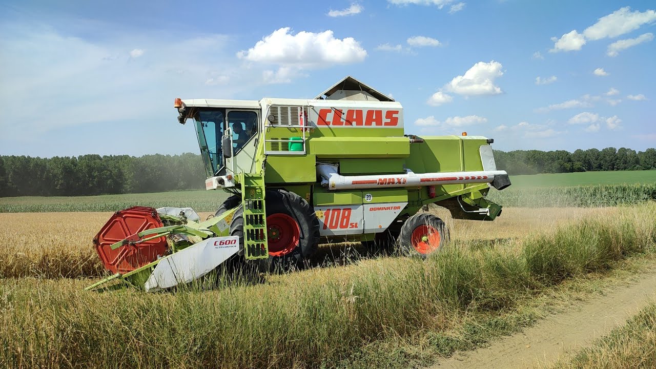 [2022] Aratás összefoglaló | Claas Dominator 108 sl Maxi, Belarus 82.1-MBP6.5