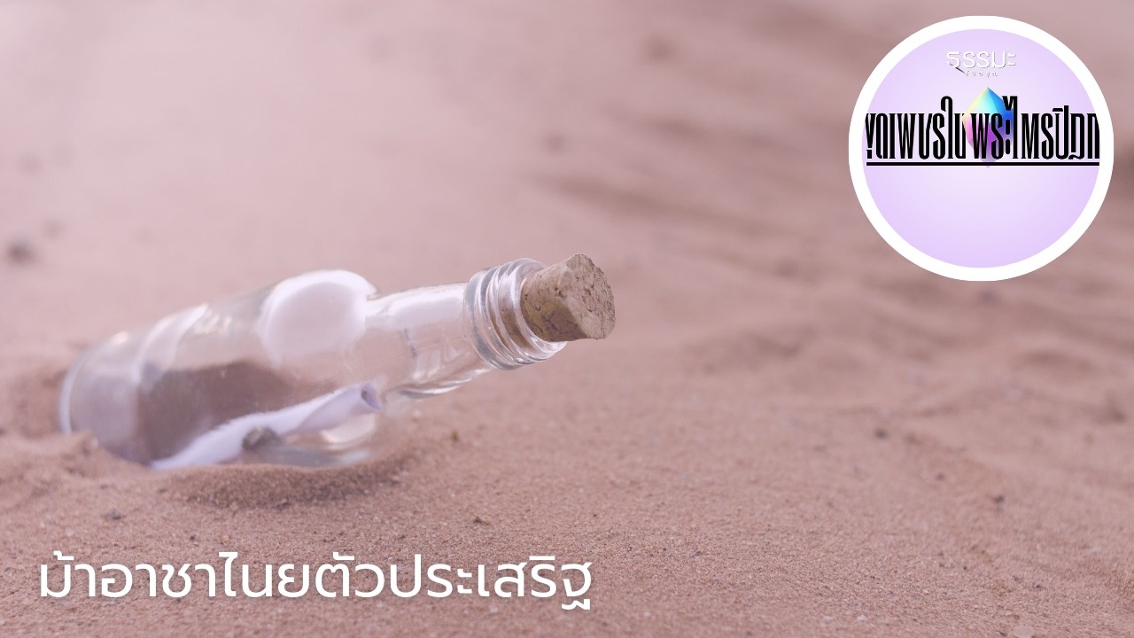 ม้าอาชาไนยตัวประเสริฐ [6911-6t]