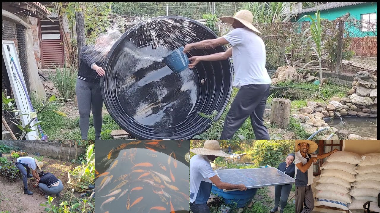 Veja ! quando SÍTIO é pequeno VENDER de tudo éa Solução #sustainability #rural  @TILAPIAMinhaVida