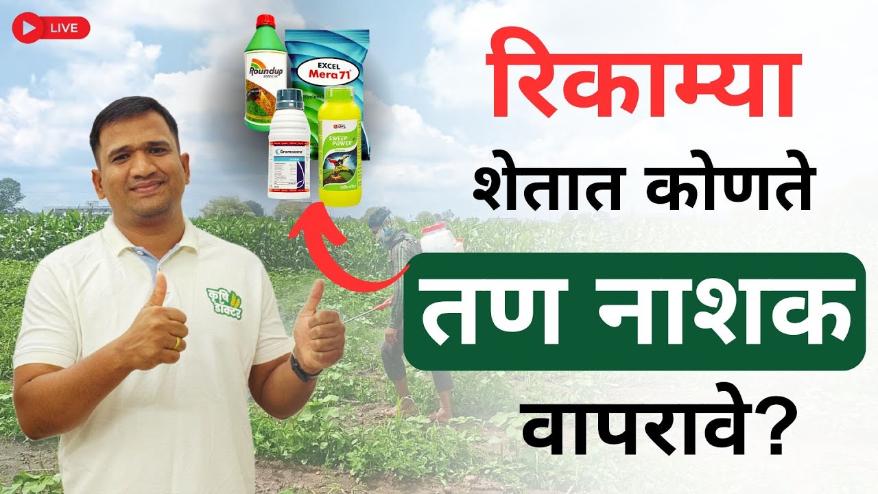 रिकाम्या रानातील तण नियंत्रण | Weed Management in Fallow Land | प्रभावी उपाय, औषधे #krushidoctor