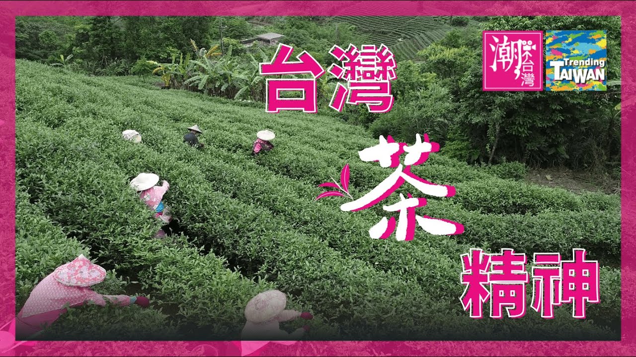 🍵台灣茶精神🍵
