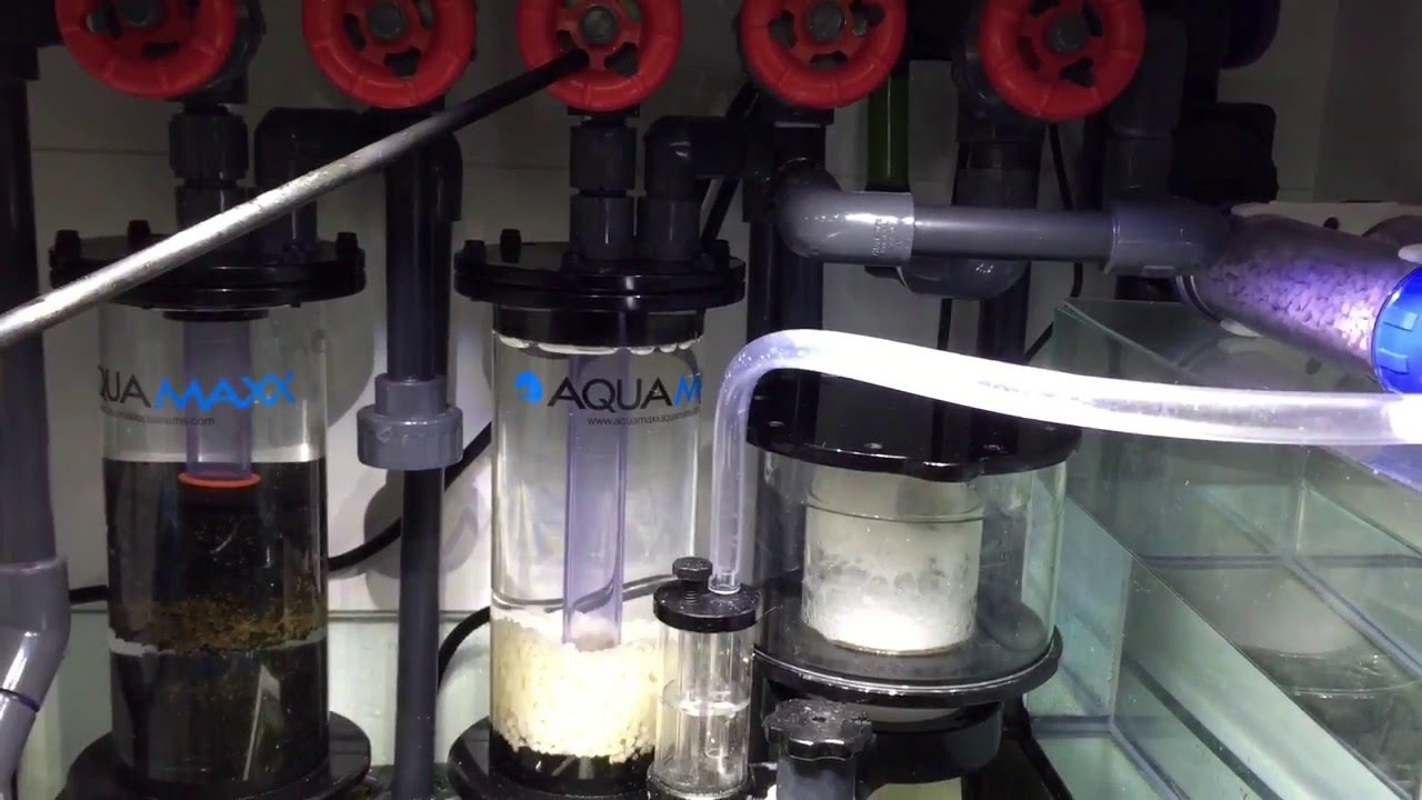 Red Sea Reefer 350 A clean complete sump setup