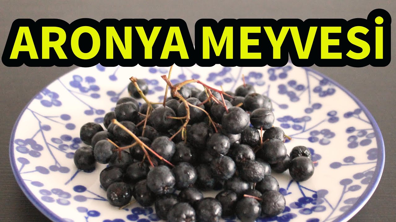 Aronya Meyvesi Nedir? Nasıl Yenir ve Faydaları Nelerdir? 🍇