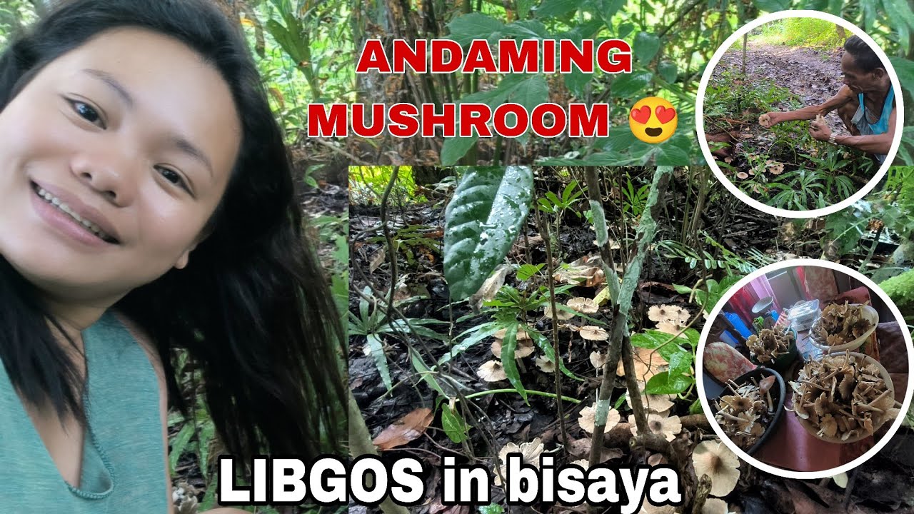 ANDAMING LIGBOS / LIBGOS  😋#JOSHAMTV #nativemushrooms #ligbos #libgos