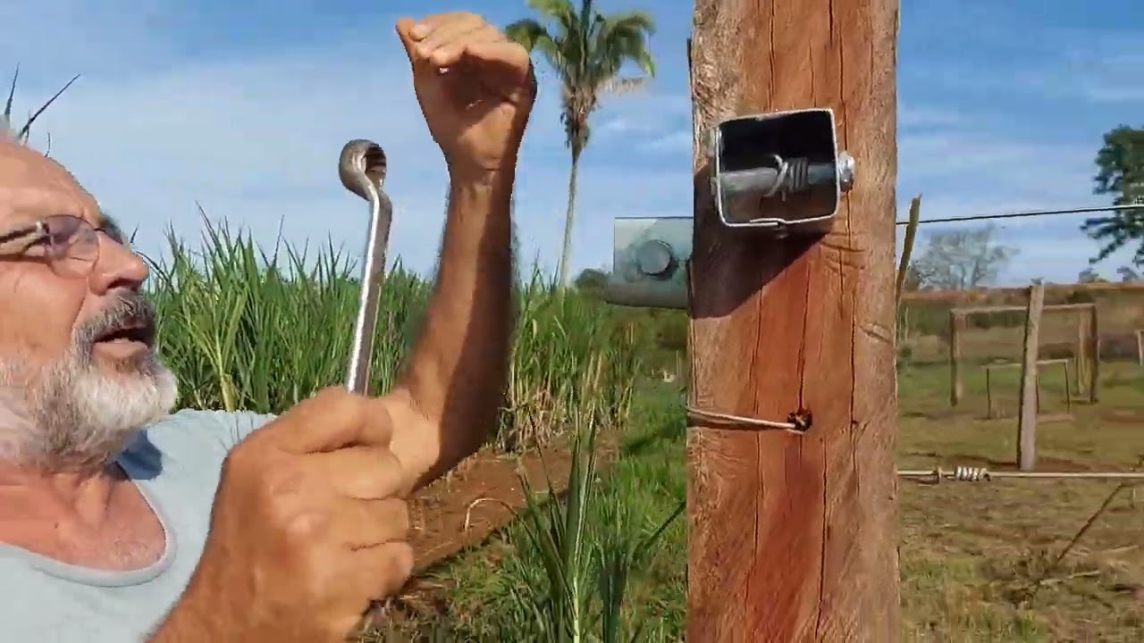 CURRAL ECONÔMICO| Modo mais fácil e mais rápido