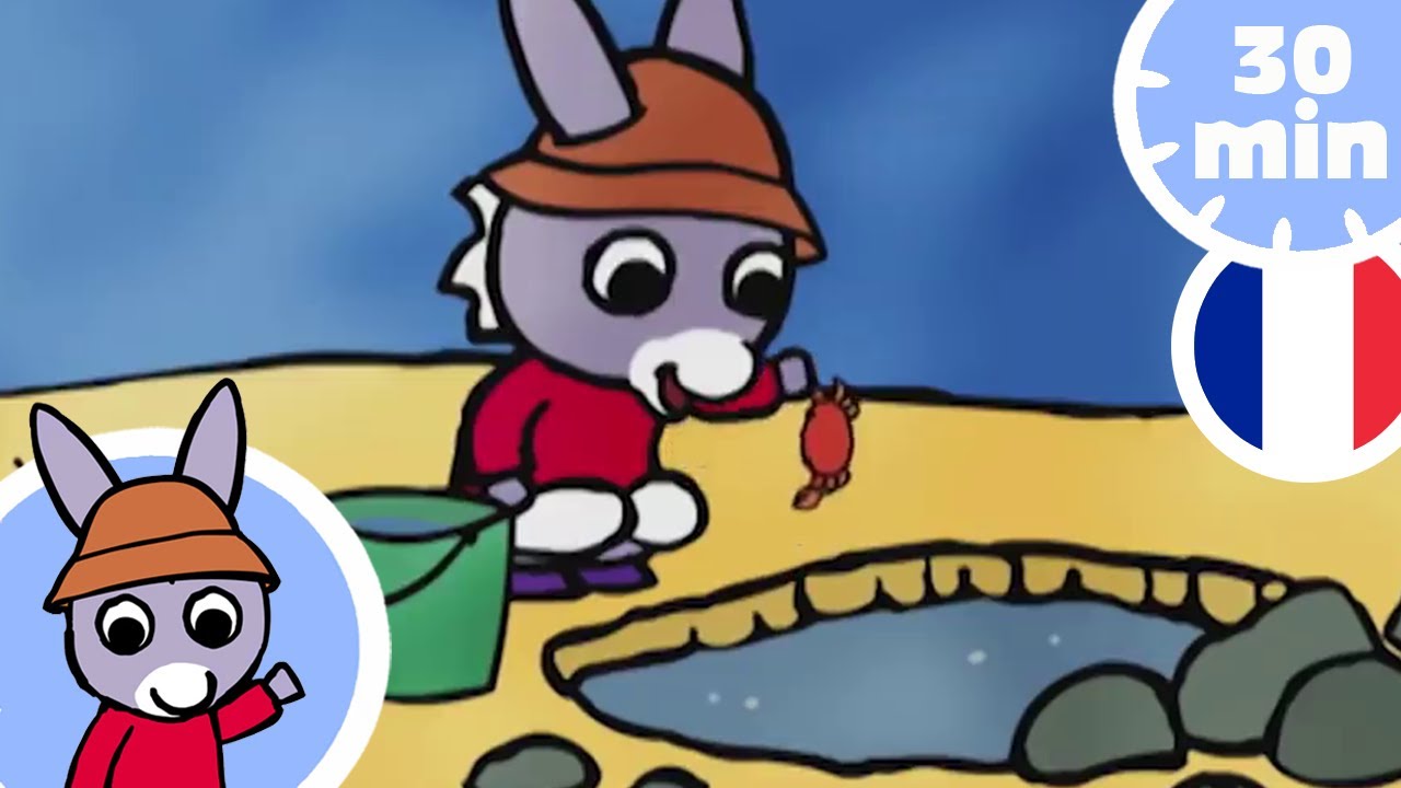 🌴 Trotro profite de la plage ! 🌴 - Dessin Animé pour Bébé