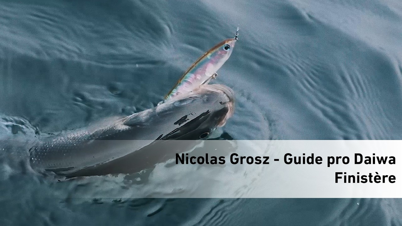Portrait de Nicolas Grosz - Iroise Sportfishing Adventure - Guide Pro Daiwa