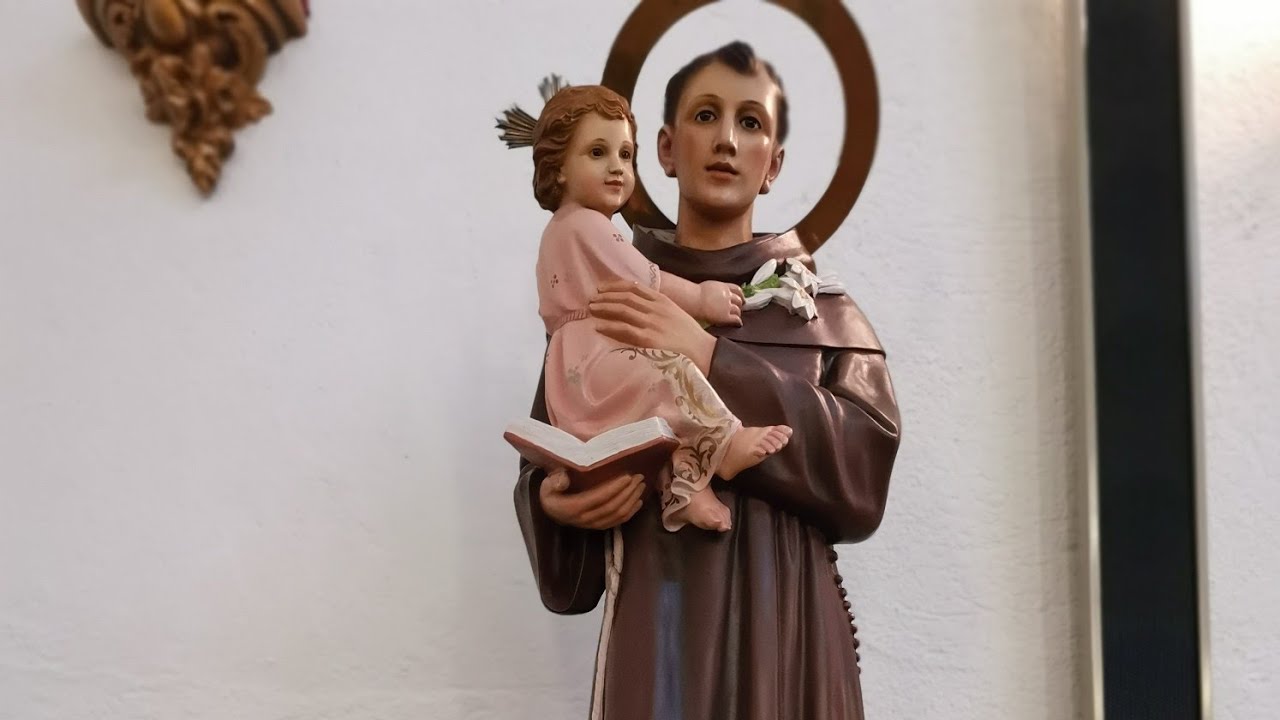 Sab 13/06/2020
SANTA MISA DESDE BOGARRE
SAN ANTONIO DE PADUA, PATRÓN DE BOGARRE