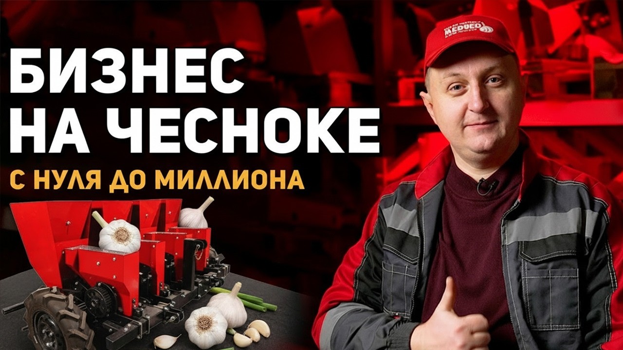 Бизнес на чесноке: С чего начать новичку? Часть 1