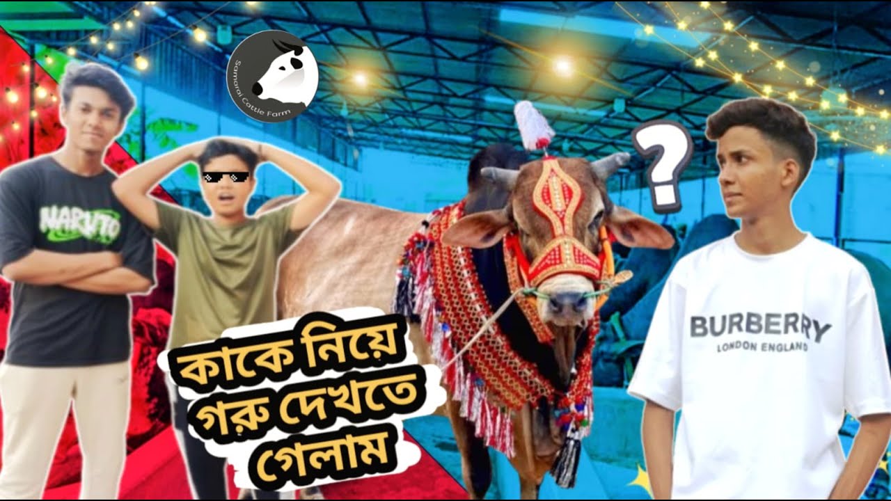 বড় বড় গরু দেখে রওজা অবাক | Cow Video | Samurai cattle farm | Qurbani 2025 | Shahil Vlog | Pagla goru