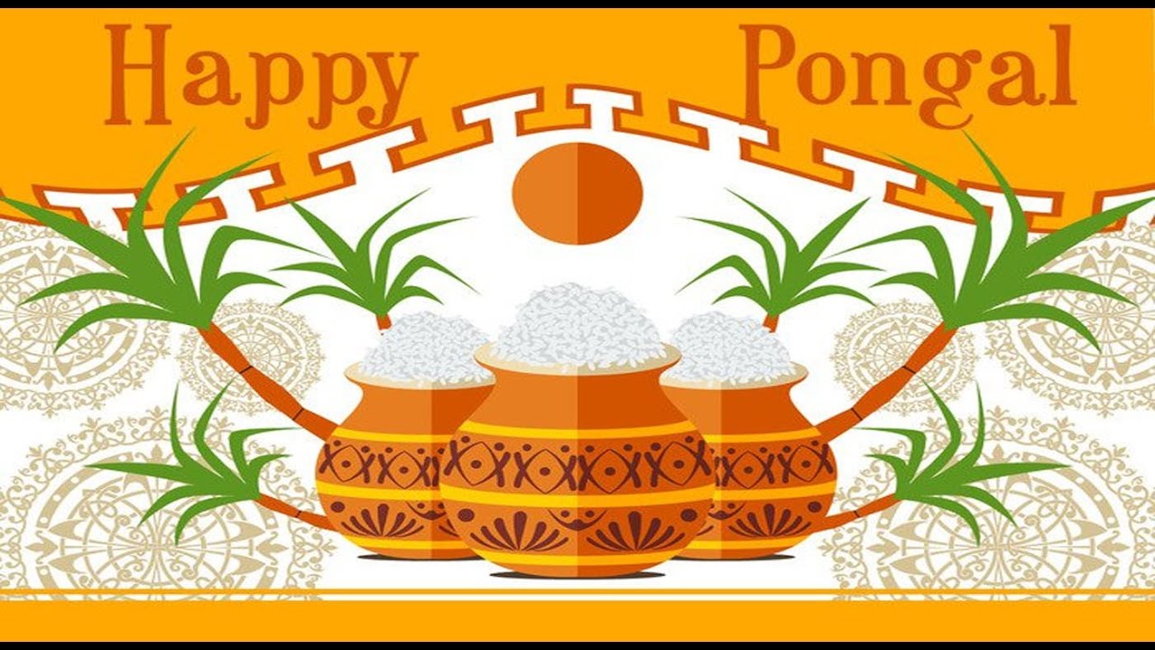 Happy Pongal 2018- Greetings, wishes, Whatsapp video, E-card, Free Download HD Video