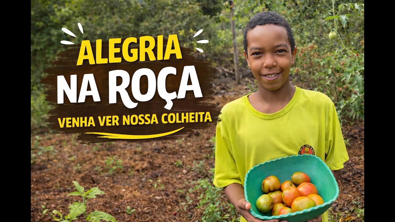 Dia de Colher Nossos Tomates Fresquinhos!