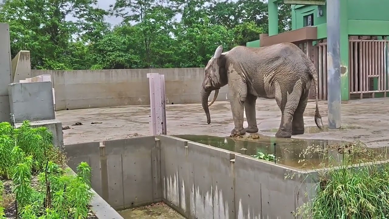 安佐動物公園１