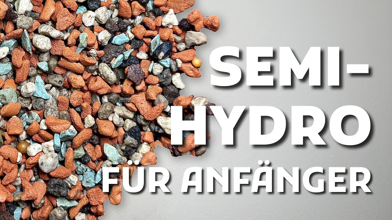 (Semi-) Hydrokultur für Anfänger: Dein Leitfaden!