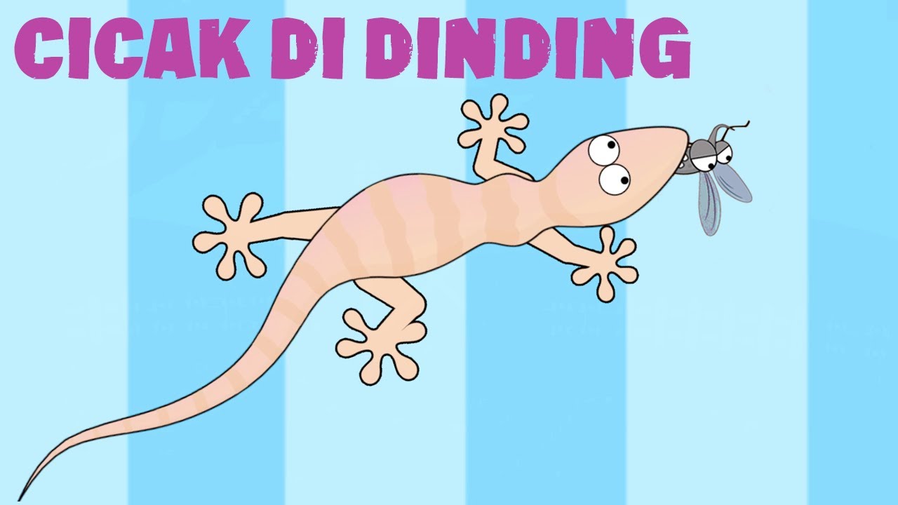 CICAK DI DINDING Versi Baru ♥ Lagu Anak dan Balita Indonesia | Keira Charma Fun