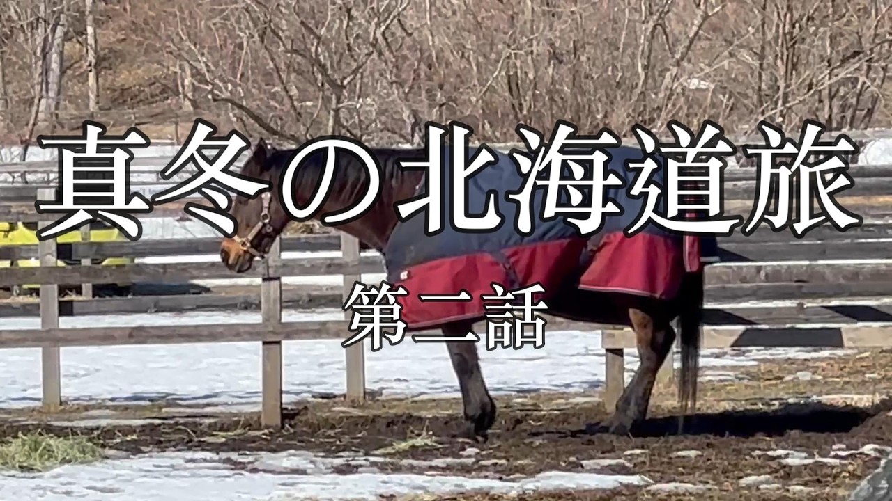 （502）真冬の北海道旅　第二話