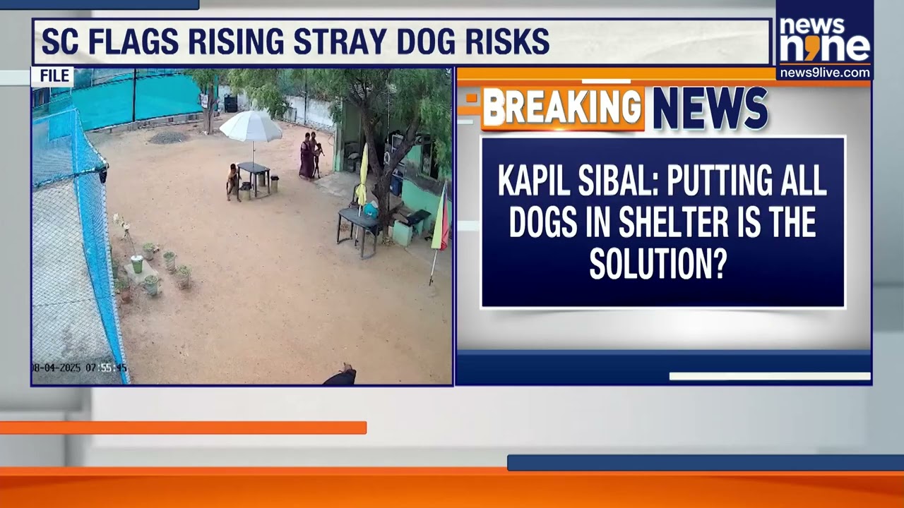Can You Read a Dog&rsquo;s Mind? Supreme Court Raps Stray Dog Rules Over Public Safety | News9