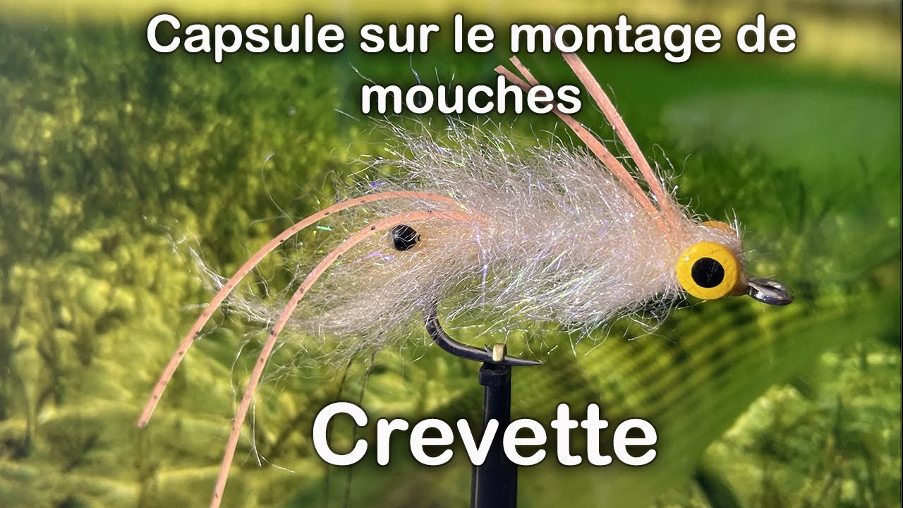 90- Crevette HD