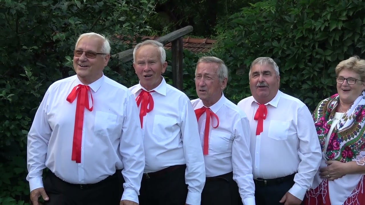 Zespół Niepołomiczanie - W moim ogródecku.