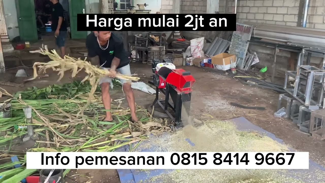 Choper multifungsi kualitas exspor#cacahrumput
