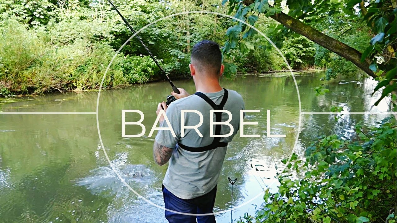 Getting into BARBEL Fishing | Catching My First Yorkshire Barbel