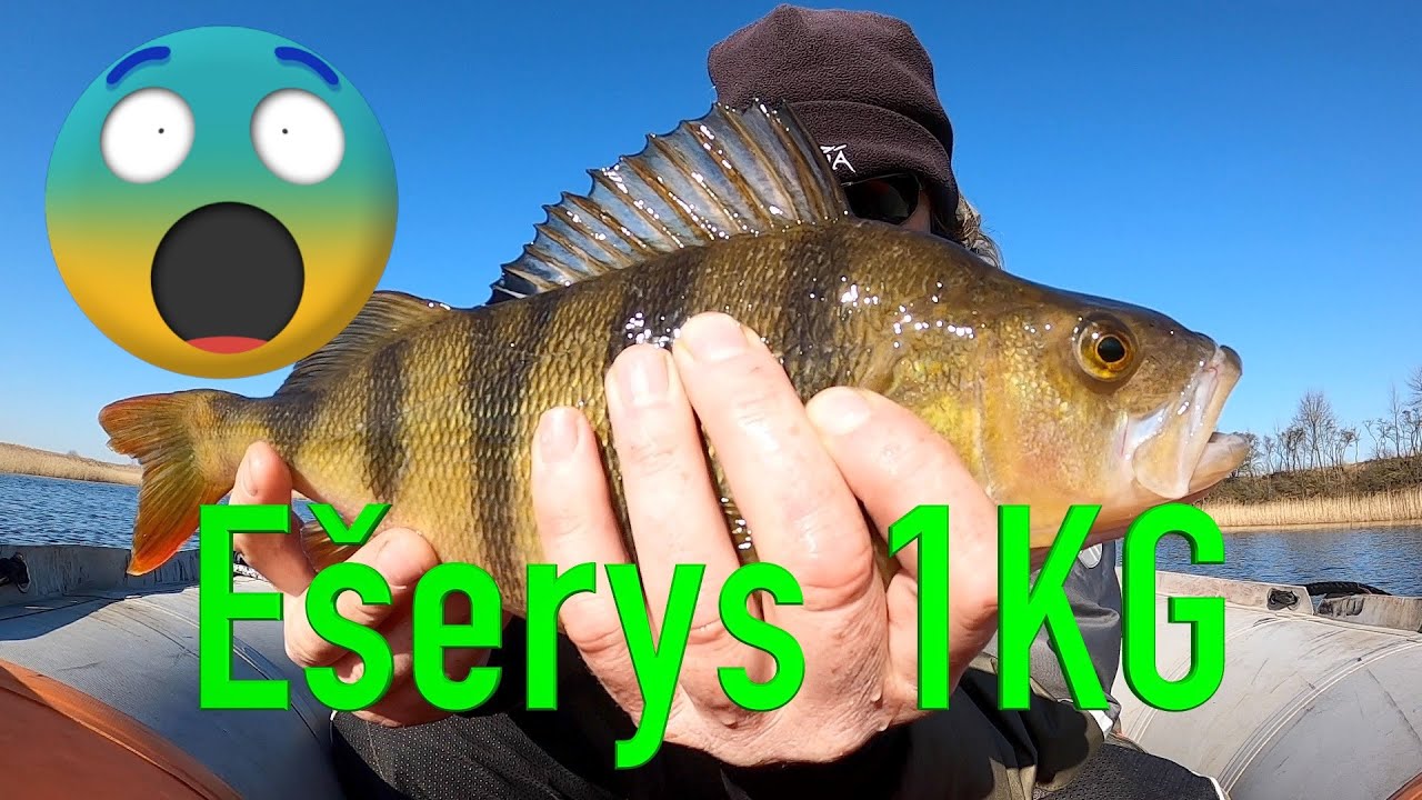 Eserys 1kg