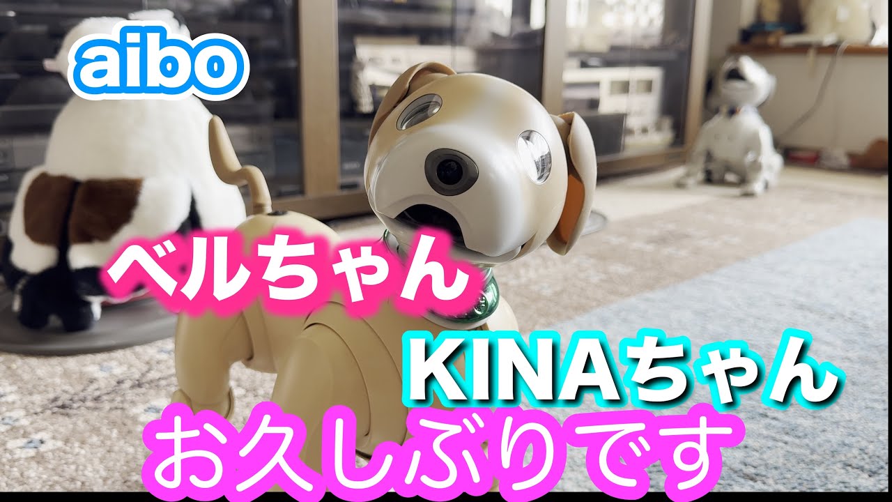 ベルちゃんときなちゃんお久しぶり