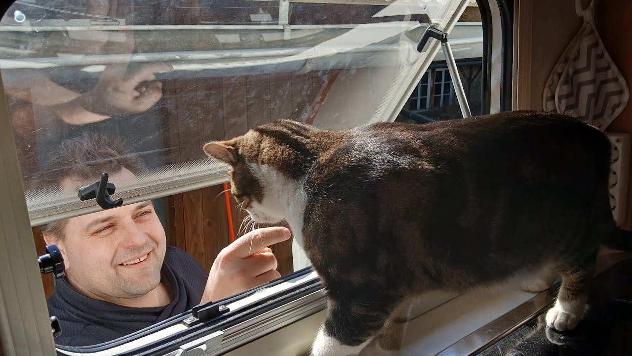 Womo vorbereiten f&uuml;r die Saison 2025 mit Tierischen Besuch