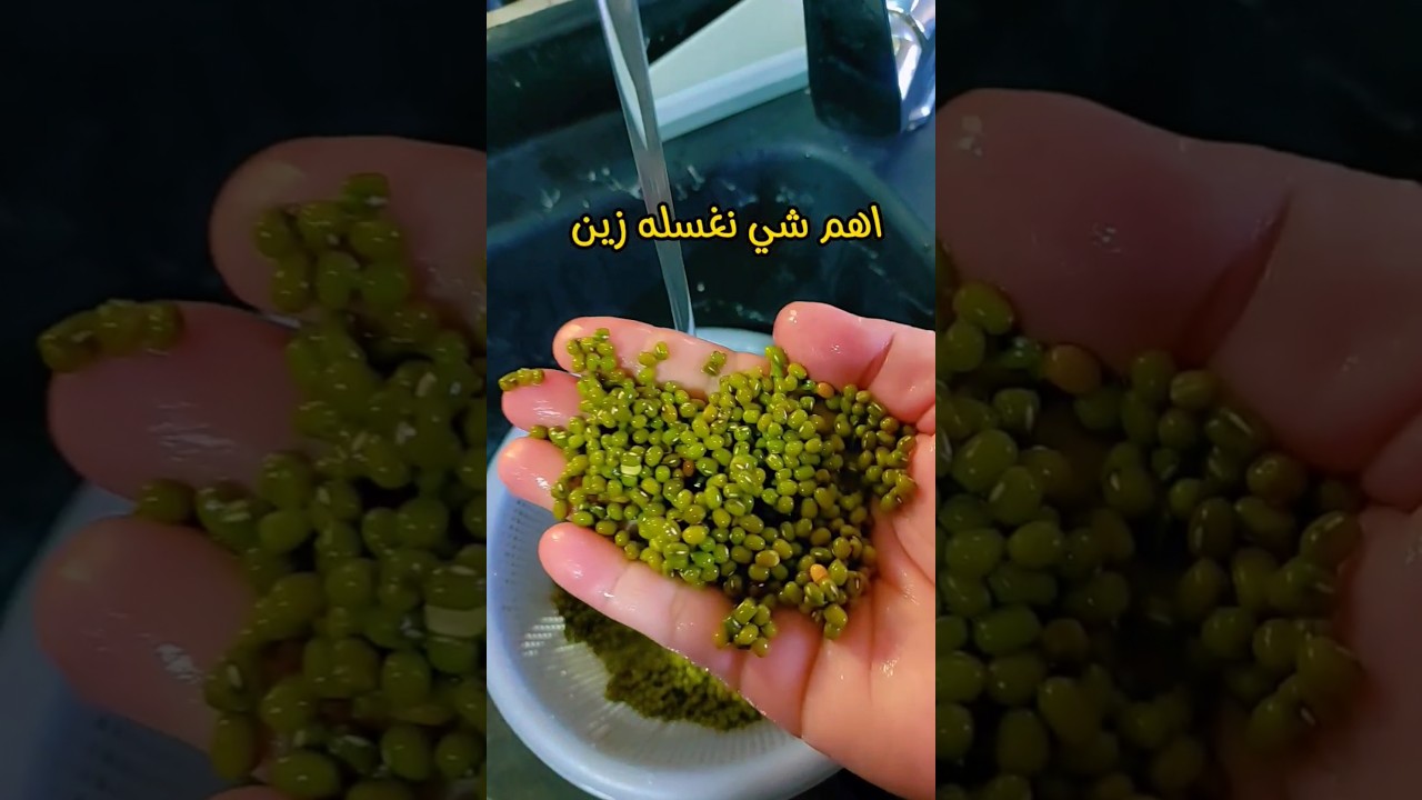 شتسموها انتو🥰شله ودبس