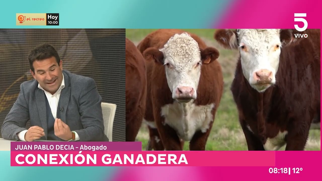 Conexión Ganadera: revelan más vínculos financieros en España que agravan la causa