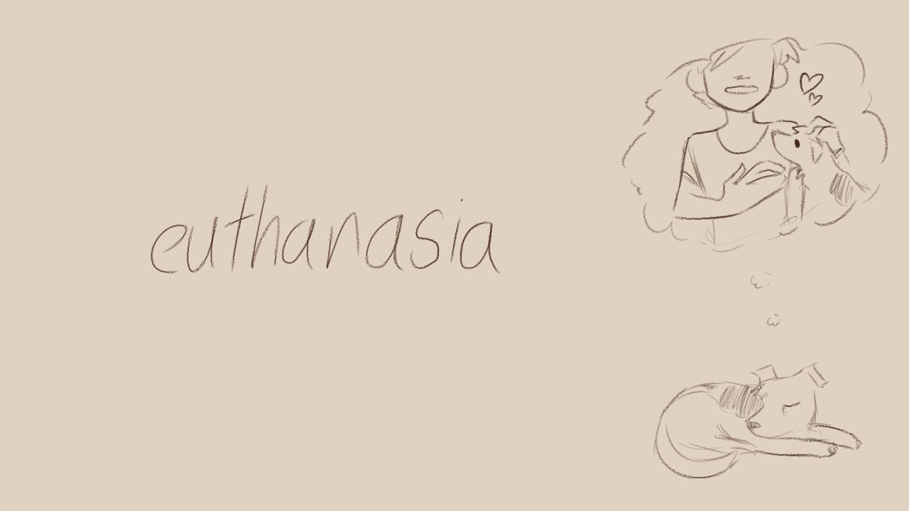 Synced Lyrics - Euthanasia / Will Wood