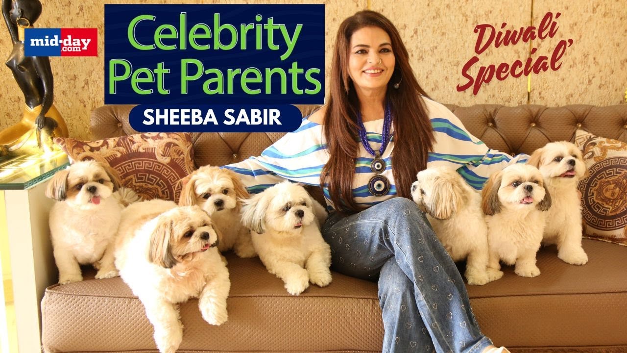 Celebrity Pet Parents: Sheeba Akashdeep Sabir and her 7 Shih Tzu dogs | Diwali Exclusive