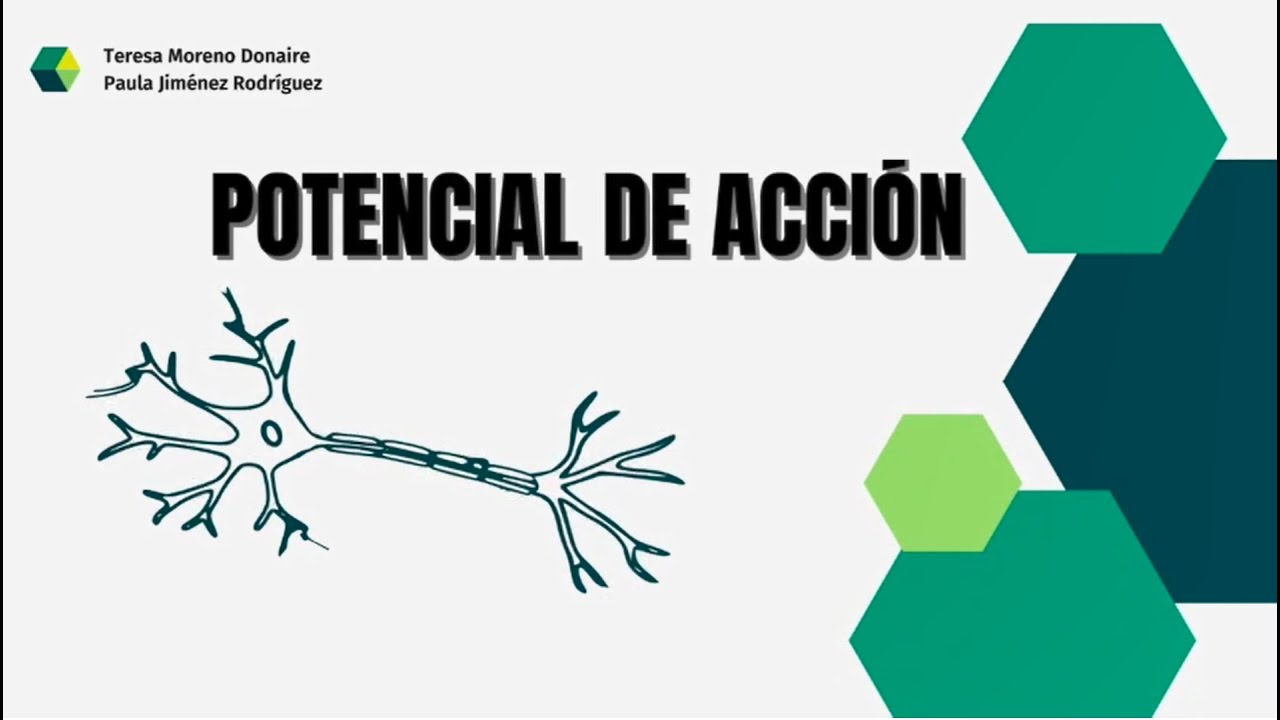Potencial de acción