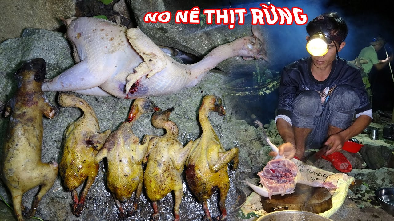 LÊN RỪNG SĂN BẮT, NGỦ RỪNG, SĂN GÀ RỪNG, CUỘC SỐNG DÂN DÃ - Xáo Tam Phân | T2