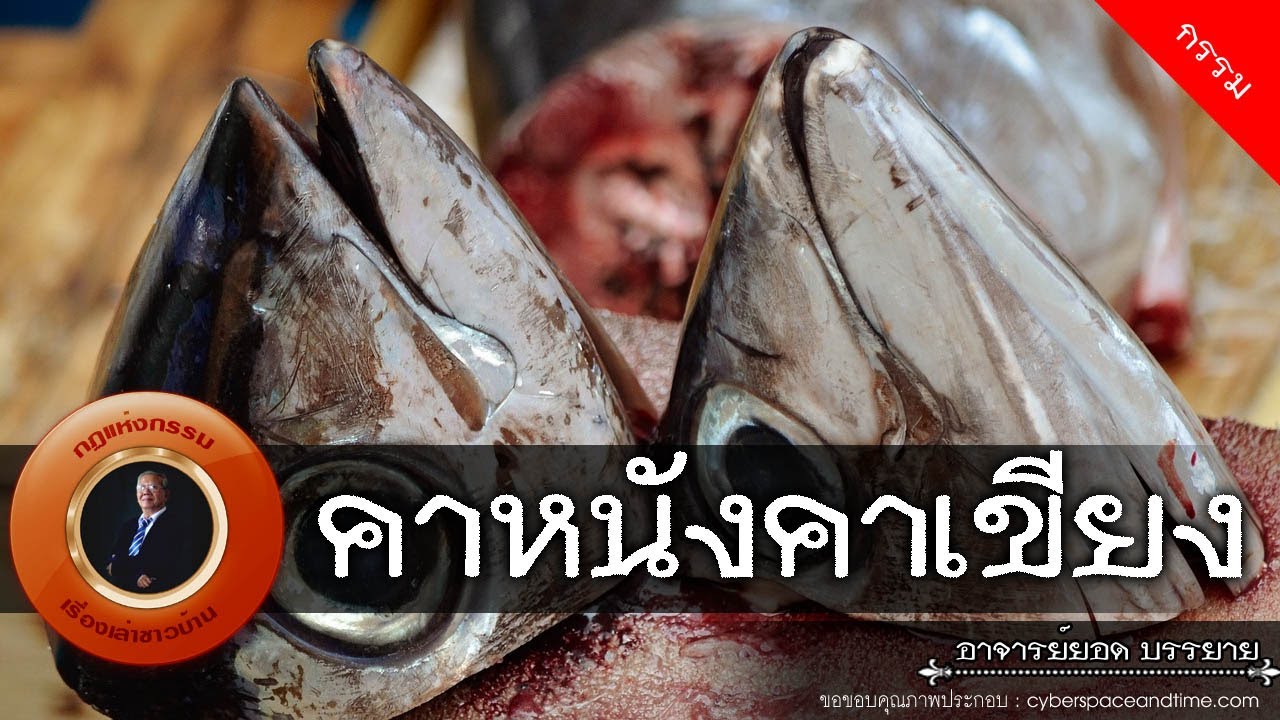 อาจารย์ยอด : คาหนังคาเขียง [กรรม] new
