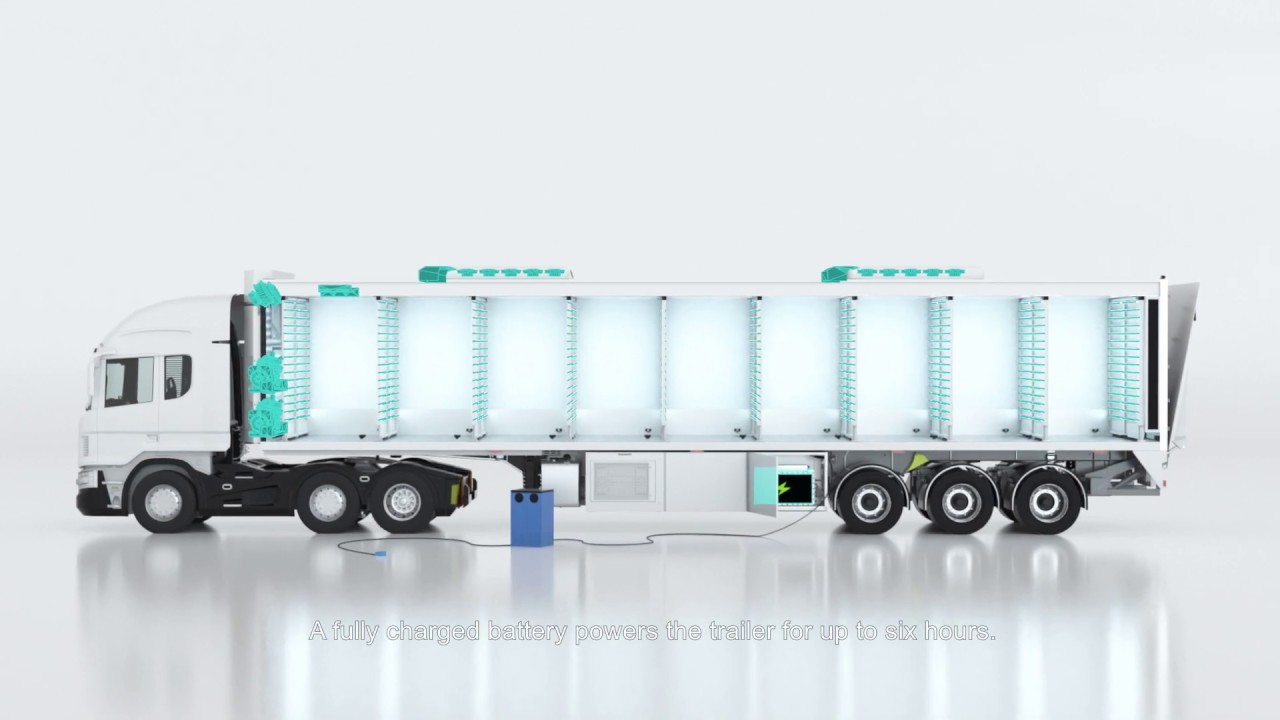 HatchTraveller: leaders in chick transport innovation