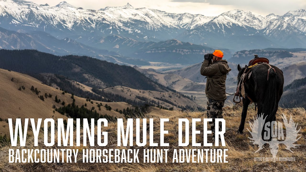 High Country Mule Deer Hunt