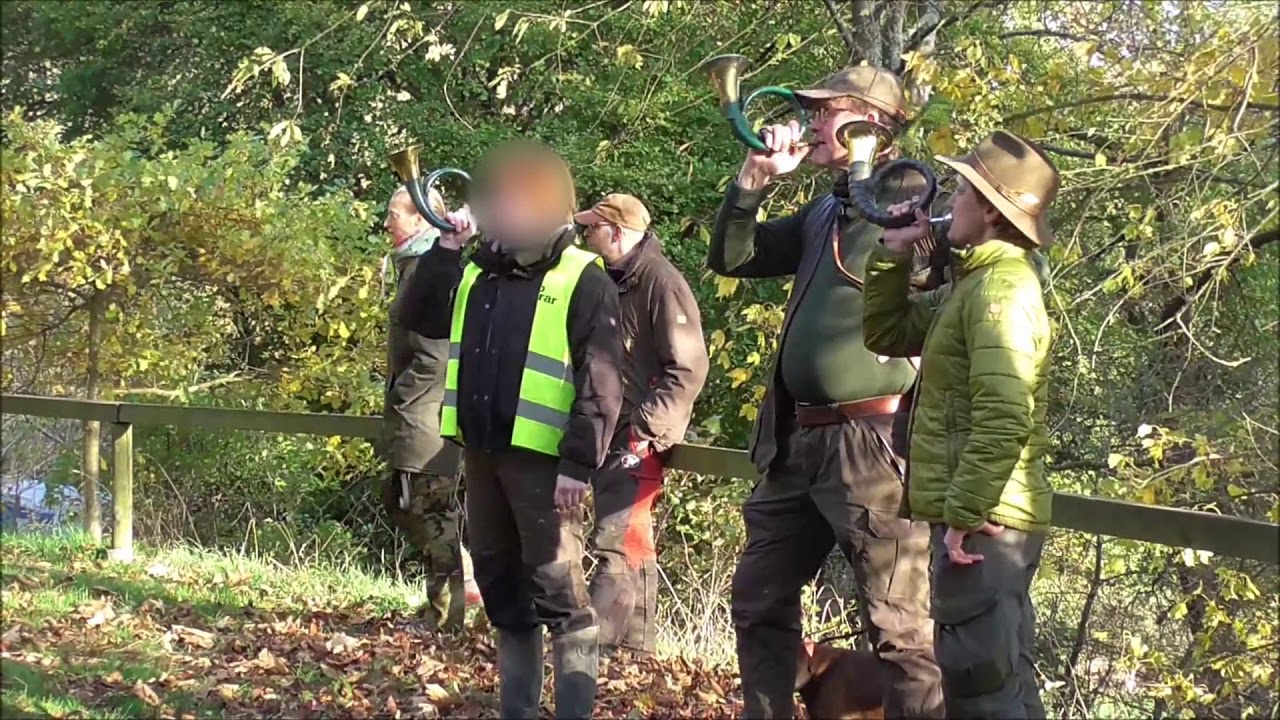 Das Hornblasen an der Strecke
